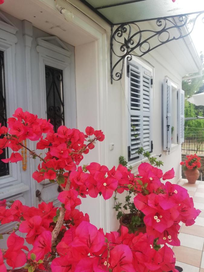 La Casa Di Caterina: Nature,Relax And Private Garden Lefkáda Exterior foto