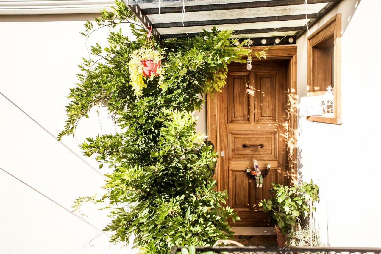 La Casa Di Caterina: Nature,Relax And Private Garden Lefkáda Exterior foto
