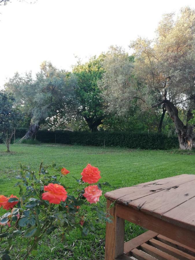 La Casa Di Caterina: Nature,Relax And Private Garden Lefkáda Exterior foto